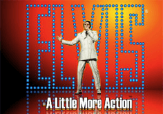 Elvis A Little More Action Slot