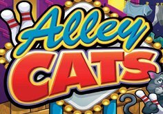 Alley Cats Slot