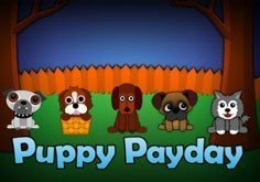 Puppy Payday Slot