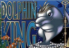 Dolphin King Slot