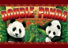 Double Panda Slot