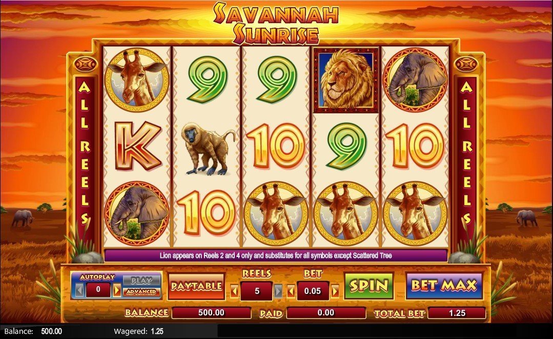 Savannah Sunrise Slot Überprüfung