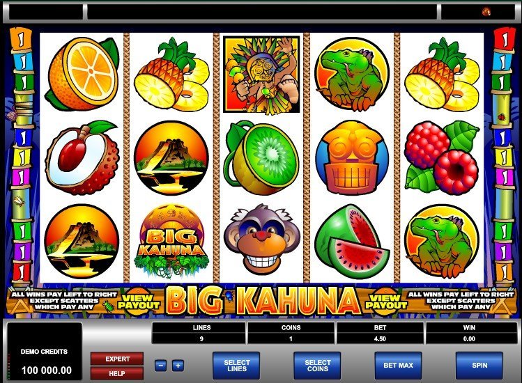 Big Kahuna Slot Review