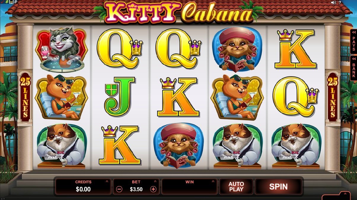 Kitty Cabana Slot Review