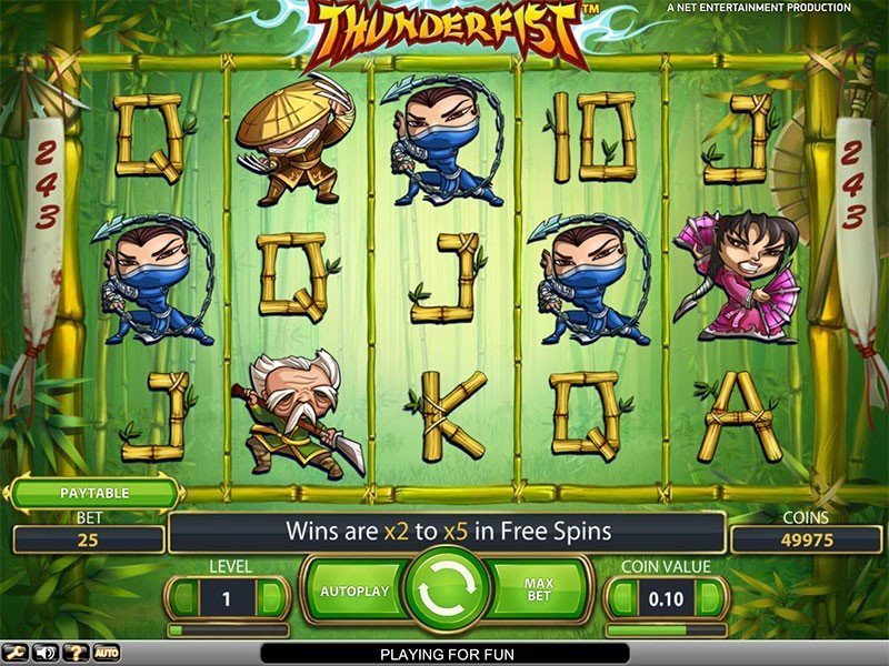 Thunderfist Slot Review