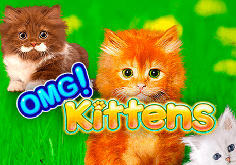 Slot "Omg Kittens