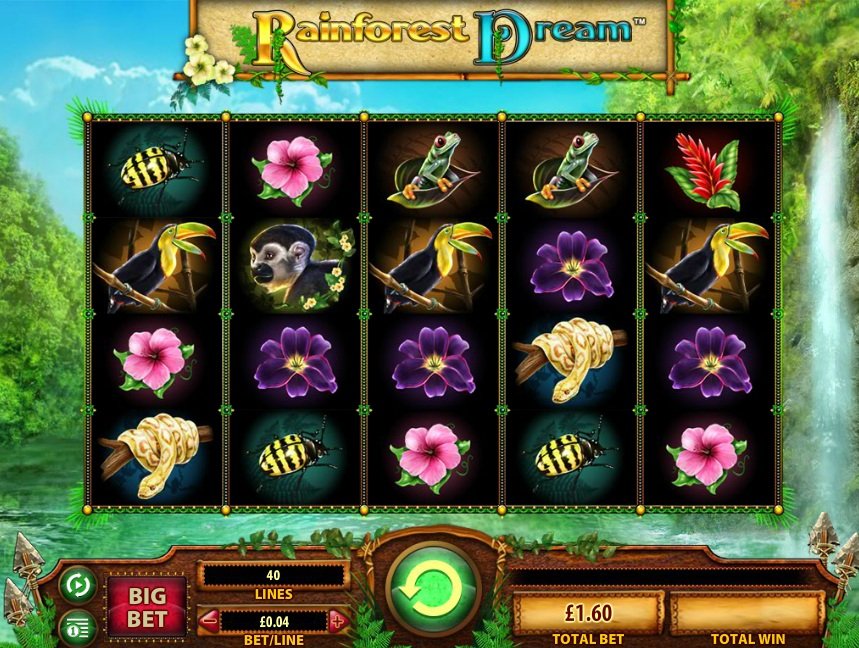 Rainforest Dream Slot Review